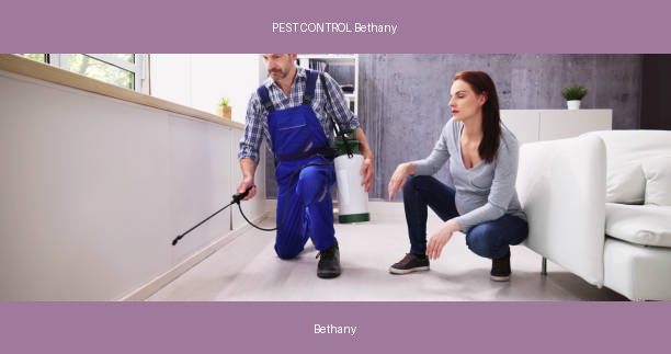 PEST CONTROL Bethany